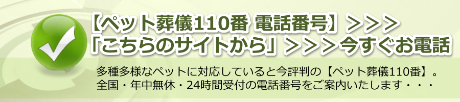 【ペット葬儀110番 電話番号】＞＞＞「はこちらのサイトから」＞＞＞